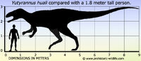 Yutyrannus-size