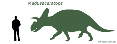 Medusaceratops-razmer.png