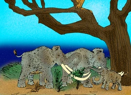 Карликовый мамонт