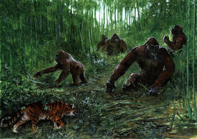Picture of the day gigantopithecus 6 703