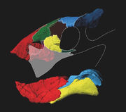 S11353548