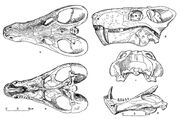 S13465781.jpg