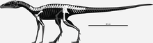 0u562d87fc-5f72d33d-34a50f48.png