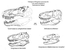 Tarbosaurus specimen