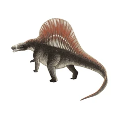 Ктенозавриск5.jpg (46 КБ)