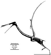 0u1dfed2b8-df992e60-260c596a.jpg