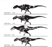 Acrocanthosaurus specimen