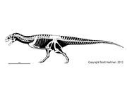 Majungasaurus sk