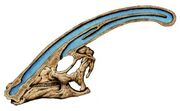 Parasaurolophus.crest