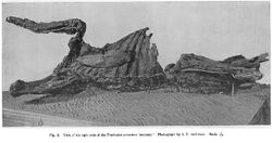 Trachodon mummy