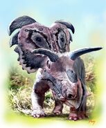 Medusaceratops-3