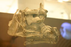 Ceratogaulus rhinocerus