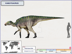 Kamuysaurus size