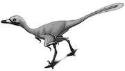 Urbacodon.jpg