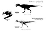 Abelisaurus skeleton