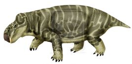 80940240