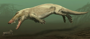 Reconstitution-dAmbulocetus-natans-par-Carl-Buell-Reconstruction-of-Ambulocetus