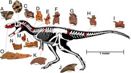 Pnas.1600140113fig01