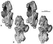 Lirainosaurus
