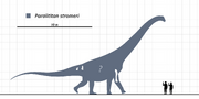 Paralititan-Scale-Diagram-SVG-Steveoc86.svg
