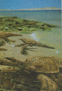 "Прогулки с морскими чудовищами", 1 серия