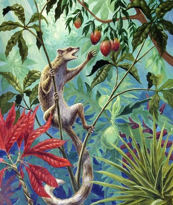 Плезиадапис4