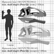 1024px-Mapusaurus-skull-comparison