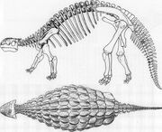 Анкилозавр Браун