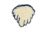 Alocodon