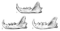 16740261