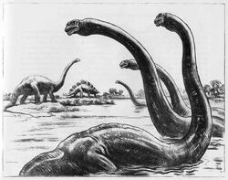 Brontosaurus, from 'Life Through the Ages' Charles Knight 1946
