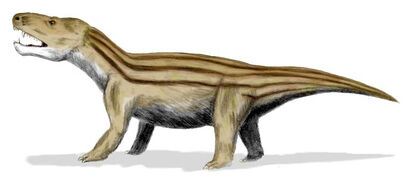 Cynognathus BW