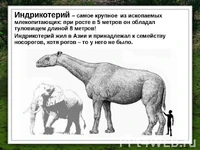 Img7.jpg (59 Кб) Img7