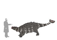Анодонтозавр—Джошуа Кнуппе