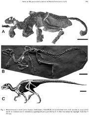 Heterodontosaurus skeleton.jpg