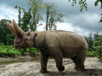 Picture of the day arsinoitherium 1 703