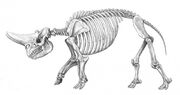 S70633608