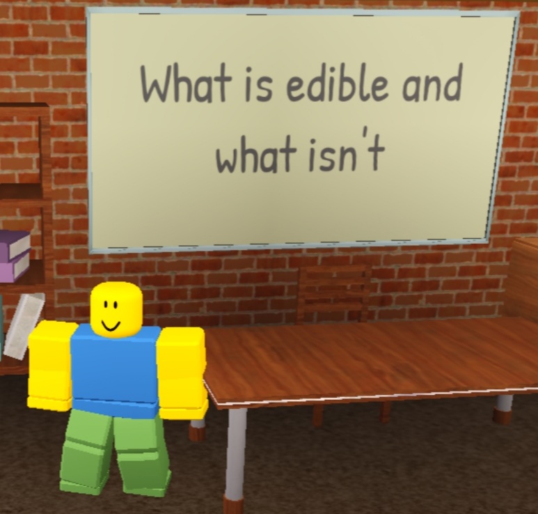 The Presentation Experience, Roblox Wiki