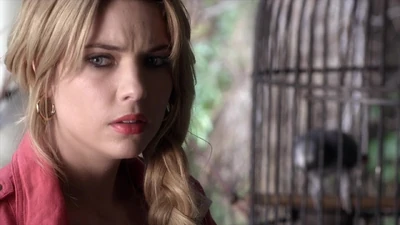 Dans Talons aiguilles