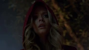 3x24 Red Coat