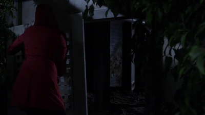 Dans Joyeux anniversaire, Emily !