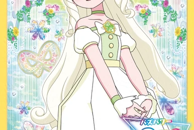 TV Anime/Data Carddass 