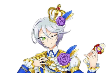 プリパラ‼️ Shikyoin Hibiki, Pripara Idol | WIXOSS Wiki | Fandom