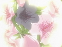 Masahiko's Heart Flower also known as Azalea which represents effort.