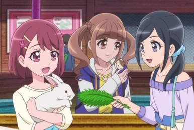 HGPC30 | Pretty Cure Wiki | Fandom