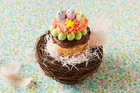 Nestling Cupcake