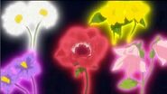 Algunas de las Flores Corazón de este episodio