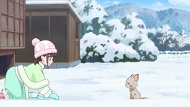 WPC10 Mayu slowly approaches the stray cat