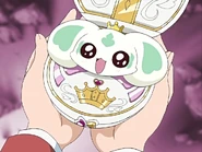 Touch Commune por dentro