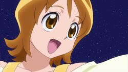 Happiness Charge Pretty Cure Wow Pretty Cure Wiki Fandom